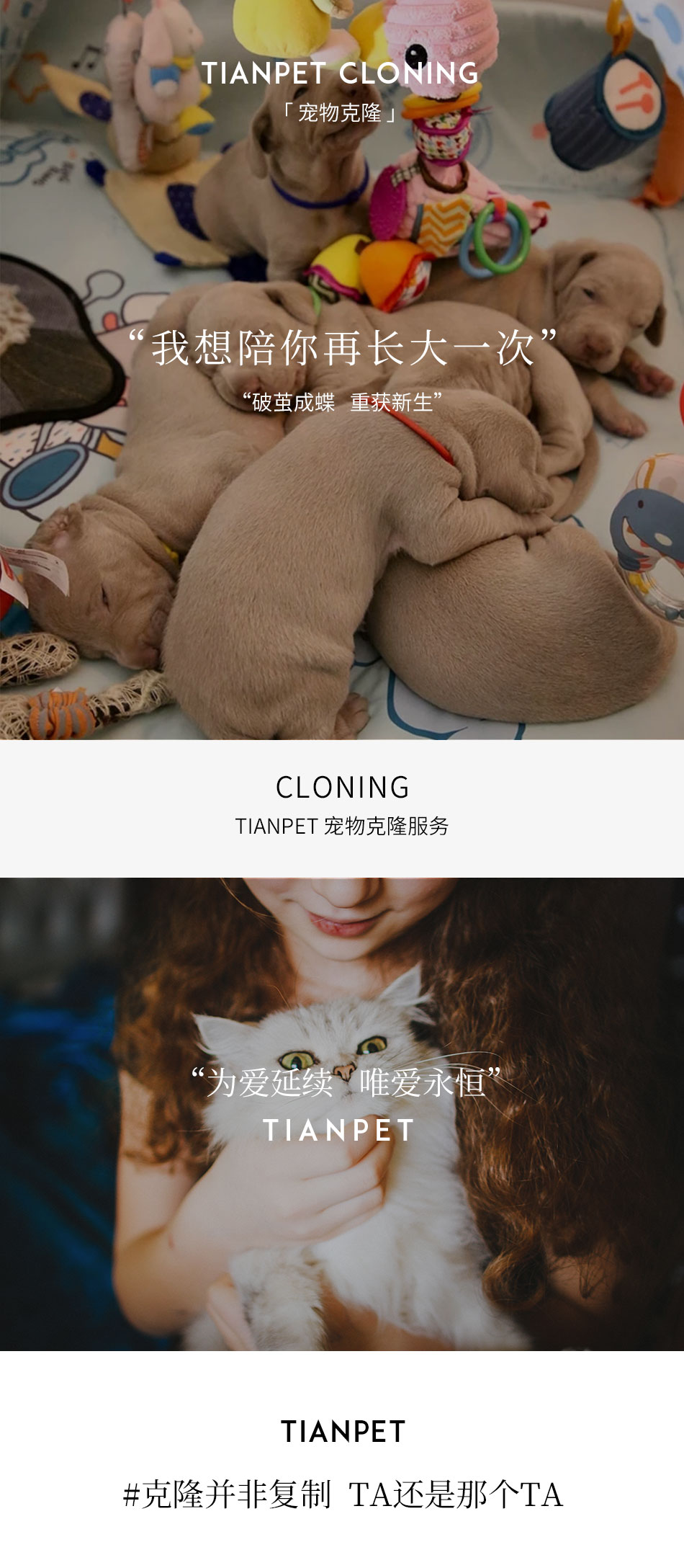 宠物克隆_01.jpg
